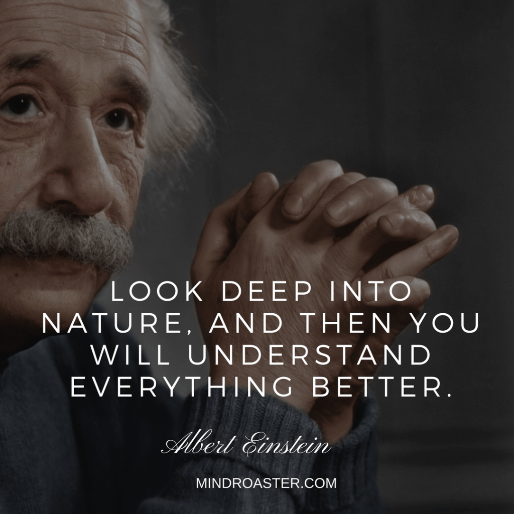 The Best Albert Einstein Quotes Ever! - Mind Roaster