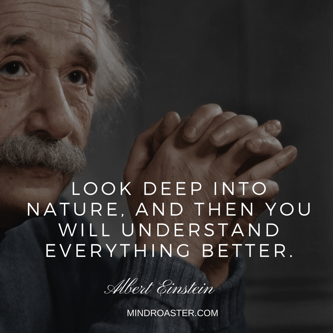 albert einstein quotes about life